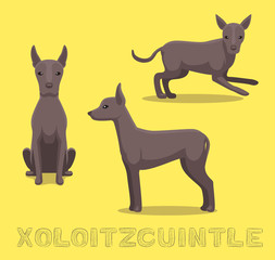 Dog Xoloitzcuintle Cartoon Vector Illustration