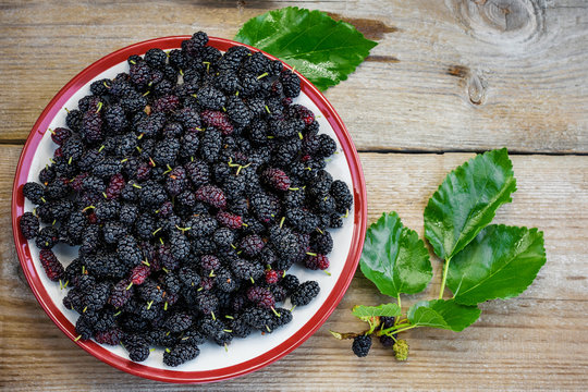 Fruits of mulberry.