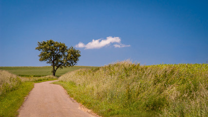 Mit Entspannung und Gelassenheit zum Ziel