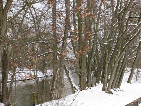 Rednitz im Winter