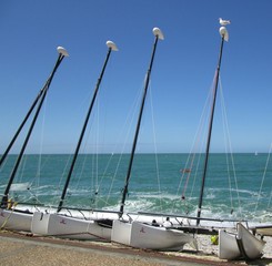 Sea