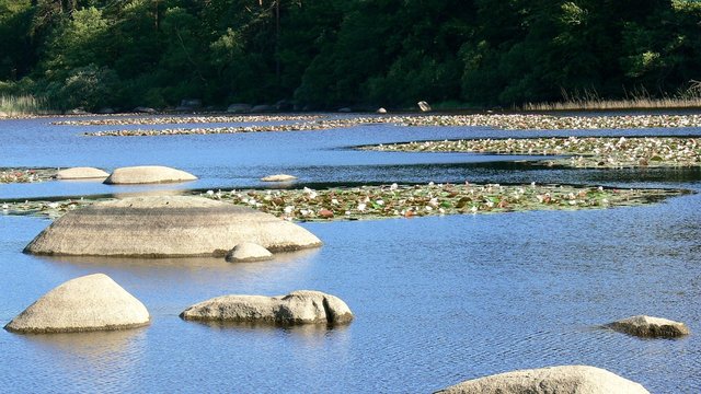 Lake Merle at a place called Sidobre near Castres, Tarn, France
