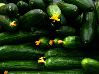 Green fresh cucumbers pattern texture background. Fitness diet detox concept. Green cucumbers harvests Close up. A backdrop of Green fresh cucumbers. Street vegetable market. Group of Green cucumbers