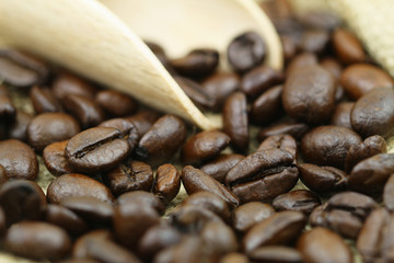 Closeup of roasted coffee beans on wooden scoop
