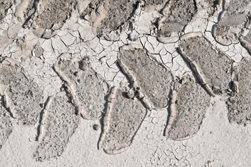 Dry soil with traces of ripeness