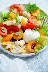 Close up of original panzanella salad with mozarella, toasted baguette, tomatoes and plums on rustic background. Summer cuisine concept