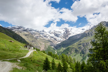 Fototapeta na wymiar Trekking pathway in an alpine valley