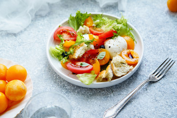 Close up of original panzanella salad with mozarella, toasted baguette, tomatoes and plums on rustic background. Summer cuisine concept