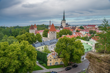 Obraz premium Old town of Tallinn in summer view from Patkuli Viewing Platform