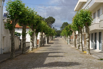 Obraz premium Street of the traditional portuguese town
