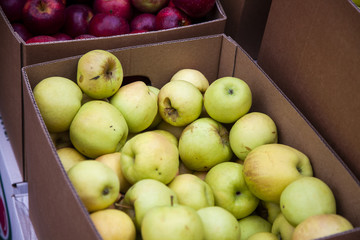 Apples in Boxes