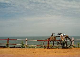 Fototapeta na wymiar Fahrrad am Cliff, Varkala, Bundesstaat Kerala, Südindien, Asien