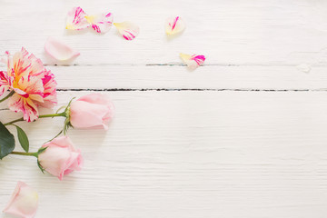roses on white wooden background