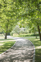 Footpath in Botanical Garden; Copenhagen