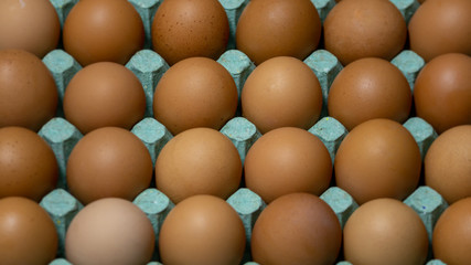 A close-up angle view of a green tray with many brown eggs in a parallel and straight layout with focus in the center of the tray and blurring along the edges