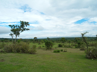 Nilgiri Hills (Blue Mountains), Bundesstaat Tamil Nadu, Indien, Asien