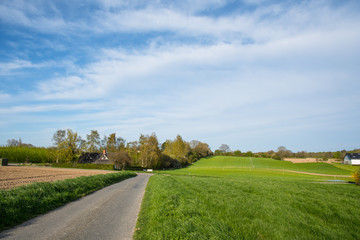 Fototapeta na wymiar Danish rural countryside road
