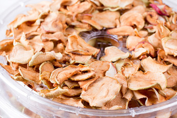 Dried apples in an electric dryer