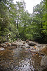 Rocky Creek in Mountains