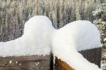 Snow Piled up on the Post of a Wooden Fence. Snowy Trees are Visible in Background.