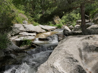 Valsain - Boca del Asno