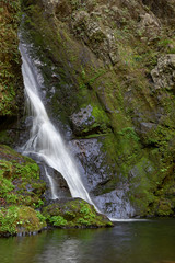 Fototapeta premium 滝と苔