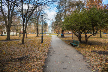Naklejka premium Footpath Lined with Benches and Street Lights through a Public Park on a Sunny Autumn Day. Toronto, ON, Canada.