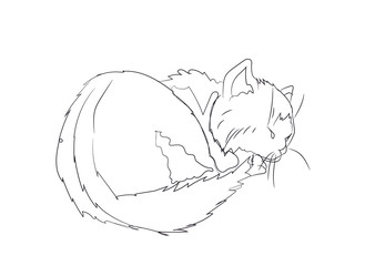 cat lines, vector