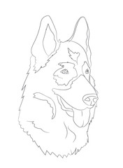 dog portrait, lines, vector
