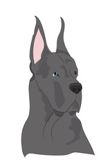 landscape mountains, lines, vector