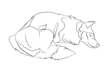 dog lies, lines, vector,