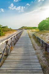 Fototapeta na wymiar wooden footbridge on the beach