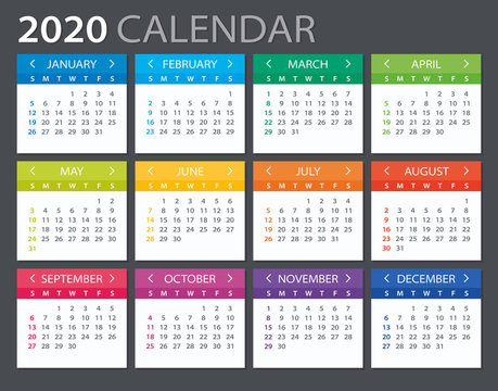2020 Calendar - vector illustration. Template. Mock up.