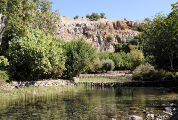 Fototapeta na wymiar Quellen des Banias, hebräisch Hermon, eines der drei Quellflüsse des Jordans, Banias Nationalpark, Golanhöhen, Israel, Naher Osten, Vorderasien
