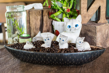 Roasted coffee beans Decorate in a coffee shop.