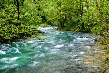 The famous Vintgar gorge Canyon near Bled lake with wooden walkway in Slovenia