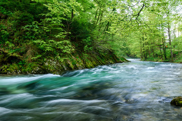 Obraz premium The famous Vintgar gorge Canyon near Bled lake with wooden walkway in Slovenia