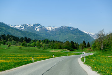 Beautiful summer time in Slovenia on the way to lake bohinj. Greenery grass fild with yellow wild flower and mountain in the background.