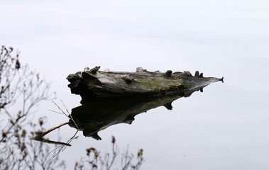 Mystische Stimmung am See in Kanada