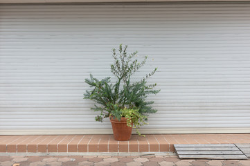 A closeup shot of automatic metal roller door used in factory, storage, garage, and industrial warehouse. The corrugated and foldable metal sheet offer space saving and provide urban and rustic feel