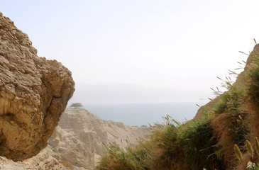 Nature Reserve, En Gedi, Jud&auml;a, Totes Meer, Israel, Naher Osten, Vorderasien