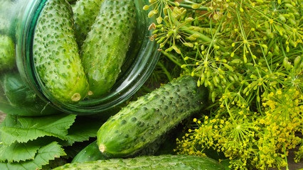 We preserve cucumbers with dill.Preparations for the winter.