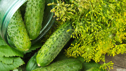 We preserve cucumbers with dill.Preparations for the winter.