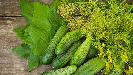 We preserve cucumbers with dill.Preparations for the winter.