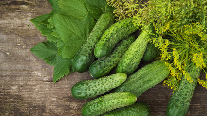 We preserve cucumbers with dill.Preparations for the winter.
