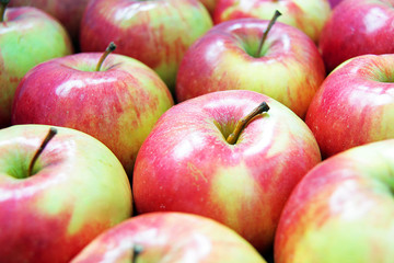 A lot of red-green apples