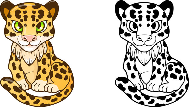 cartoon cute little leopard, design funny illustration
