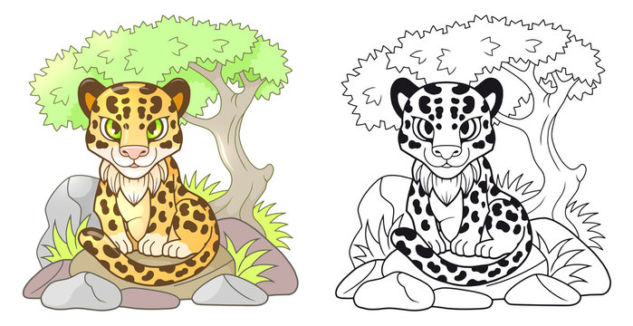 cartoon cute little leopard, design funny illustration
