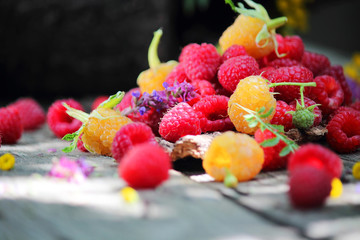 Still life of red and yellow raspberries. Against the background of a bouquet of wildflowers. Close-up. Selective focus, side view, space for copy.