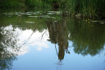 Heavy rain on a summer day in Germany

